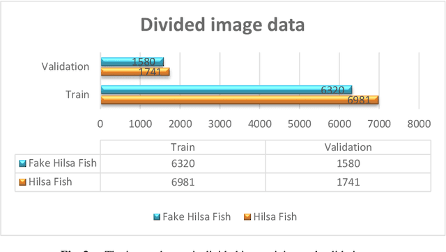 Figure 4 for Fake Hilsa Fish Detection Using Machine Vision