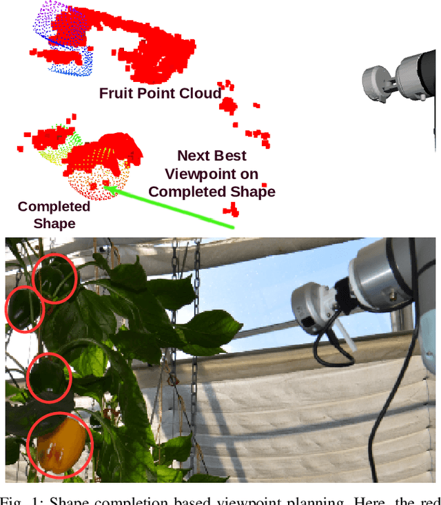Figure 1 for Viewpoint Planning based on Shape Completion for Fruit Mapping and Reconstruction