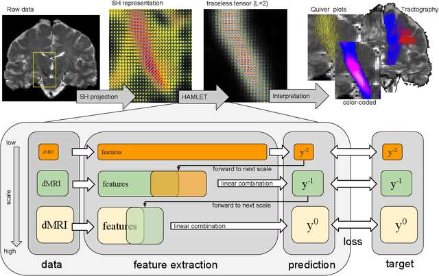 Figure 1 for HAMLET: Hierarchical Harmonic Filters for Learning Tracts from Diffusion MRI