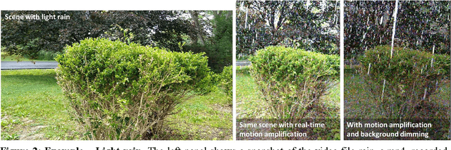 Figure 3 for Real-time motion amplification on mobile devices