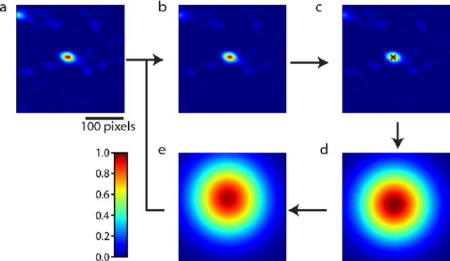 Figure 3 for Siamese Networks with Location Prior for Landmark Tracking in Liver Ultrasound Sequences