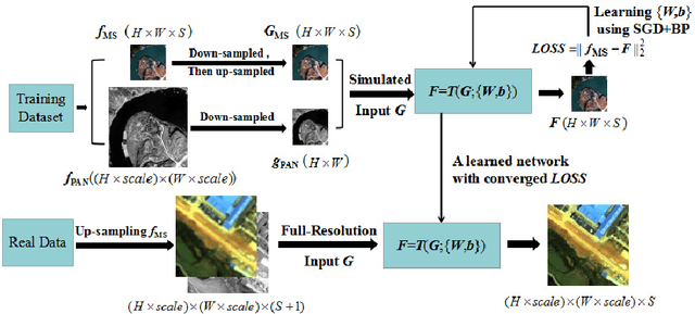 Figure 1 for Boosting the accuracy of multi-spectral image pan-sharpening by learning a deep residual network