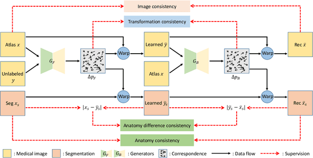 Figure 3 for LT-Net: Label Transfer by Learning Reversible Voxel-wise Correspondence for One-shot Medical Image Segmentation