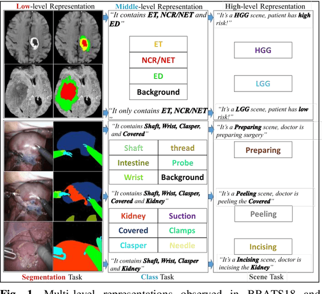 Figure 1 for Task Decomposition and Synchronization for Semantic Biomedical Image Segmentation