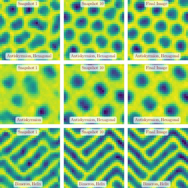 Figure 2 for Identifying (anti-)skyrmions while they form