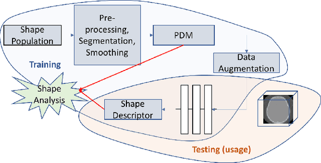 Figure 1 for DeepSSM: A Deep Learning Framework for Statistical Shape Modeling from Raw Images