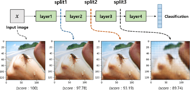 Figure 4 for Multiple Classification with Split Learning