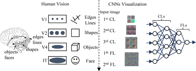 Figure 4 for How convolutional neural network see the world - A survey of convolutional neural network visualization methods