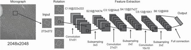 Figure 1 for A deep convolutional neural network approach to single-particle recognition in cryo-electron microscopy