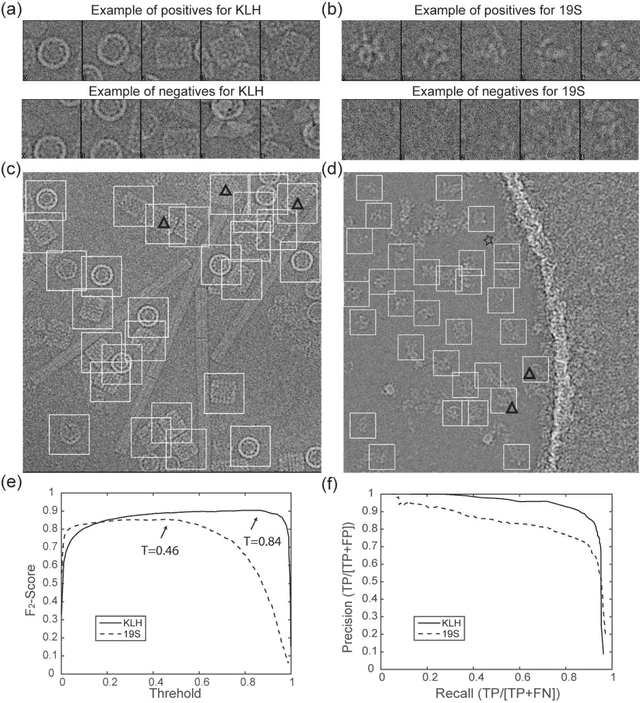 Figure 4 for A deep convolutional neural network approach to single-particle recognition in cryo-electron microscopy