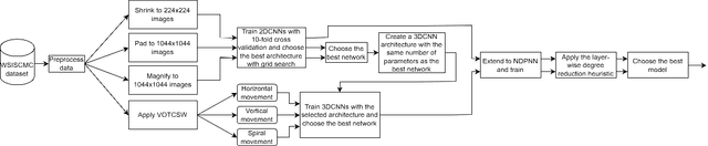 Figure 1 for Plant Species Recognition with Optimized 3D Polynomial Neural Networks and Variably Overlapping Time-Coherent Sliding Window