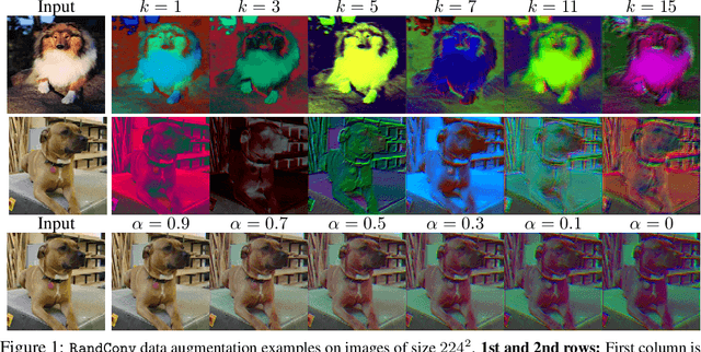 Figure 1 for Robust and Generalizable Visual Representation Learning via Random Convolutions