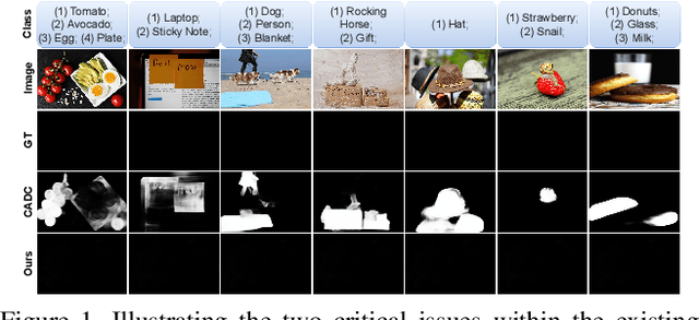 Figure 1 for Generalised Co-Salient Object Detection