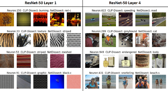 Figure 1 for CLIP-Dissect: Automatic Description of Neuron Representations in Deep Vision Networks