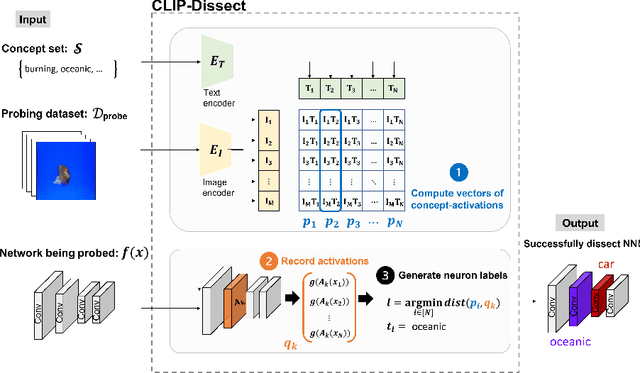 Figure 3 for CLIP-Dissect: Automatic Description of Neuron Representations in Deep Vision Networks
