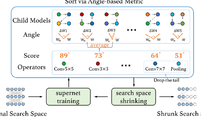 Figure 1 for Angle-based Search Space Shrinking for Neural Architecture Search