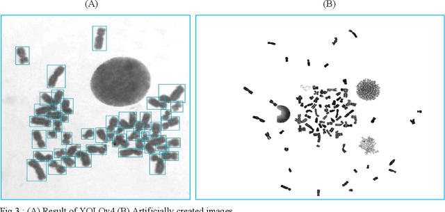 Figure 3 for Deep Learning based Automatic Detection of Dicentric Chromosome