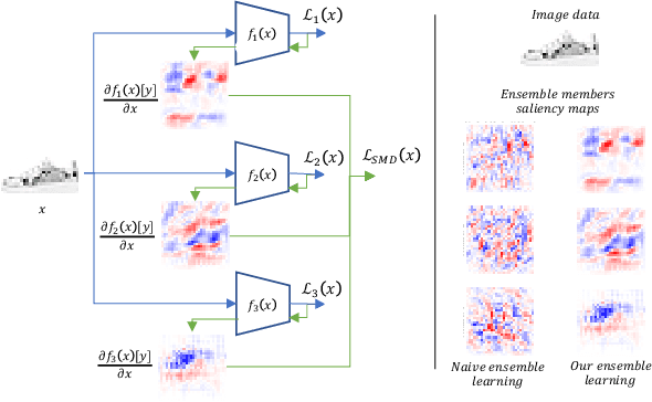 Figure 1 for Saliency Diversified Deep Ensemble for Robustness to Adversaries