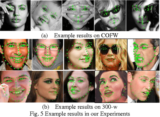 Figure 2 for Effective face landmark localization via single deep network