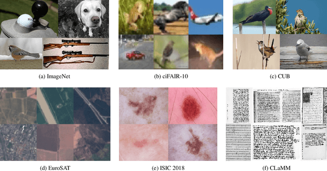 Figure 3 for Tune It or Don't Use It: Benchmarking Data-Efficient Image Classification