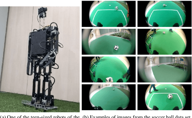 Figure 1 for Detecting soccer balls with reduced neural networks: a comparison of multiple architectures under constrained hardware scenarios