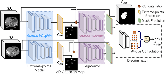 Figure 1 for User-Guided Domain Adaptation for Rapid Annotation from User Interactions: A Study on Pathological Liver Segmentation