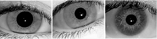Figure 1 for Iris Recognition Using Scattering Transform and Textural Features