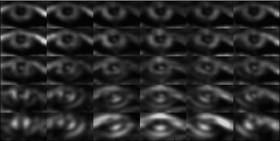 Figure 3 for Iris Recognition Using Scattering Transform and Textural Features