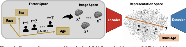 Figure 1 for LSSL: Longitudinal Self-Supervised Learning