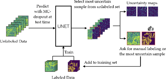 Figure 2 for Deep Active Learning for Axon-Myelin Segmentation on Histology Data