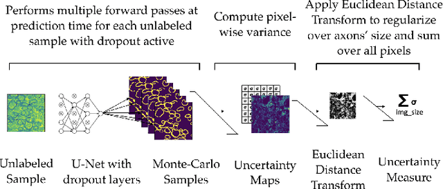Figure 3 for Deep Active Learning for Axon-Myelin Segmentation on Histology Data