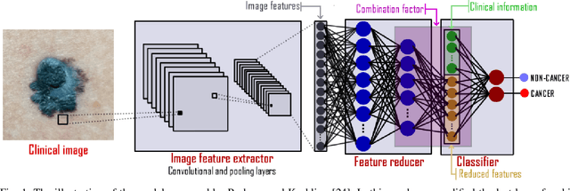 Figure 1 for A Smartphone based Application for Skin Cancer Classification Using Deep Learning with Clinical Images and Lesion Information