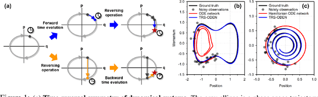 Figure 1 for Time-Reversal Symmetric ODE Network