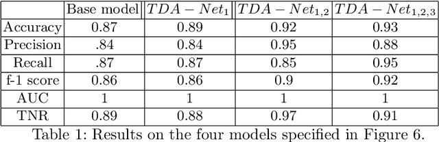 Figure 2 for TDA-Net: Fusion of Persistent Homology and Deep Learning Features for COVID-19 Detection in Chest X-Ray Images