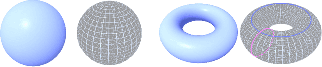 Figure 1 for TDA-Net: Fusion of Persistent Homology and Deep Learning Features for COVID-19 Detection in Chest X-Ray Images