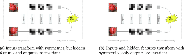 Figure 1 for Symmetry-Based Representations for Artificial and Biological General Intelligence