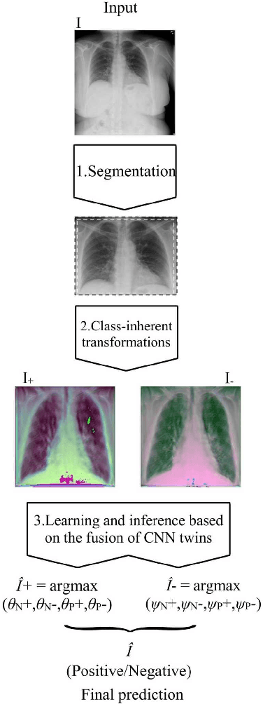 Figure 4 for COVIDGR dataset and COVID-SDNet methodology for predicting COVID-19 based on Chest X-Ray images
