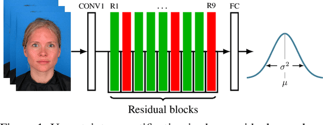 Figure 1 for Uncertainty Quantification in Deep Residual Neural Networks