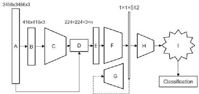 Figure 1 for Unsupervised Representations of Pollen in Bright-Field Microscopy
