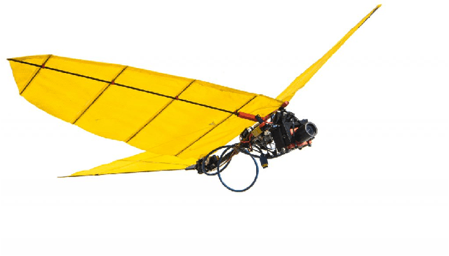 Figure 1 for Kinodynamic Planning for an Energy-Efficient Autonomous Ornithopter