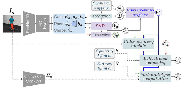 Figure 4 for Appearance Consensus Driven Self-Supervised Human Mesh Recovery