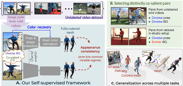 Figure 1 for Appearance Consensus Driven Self-Supervised Human Mesh Recovery