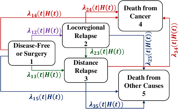 Figure 1 for Pseudo value-based Deep Neural Networks for Multi-state Survival Analysis