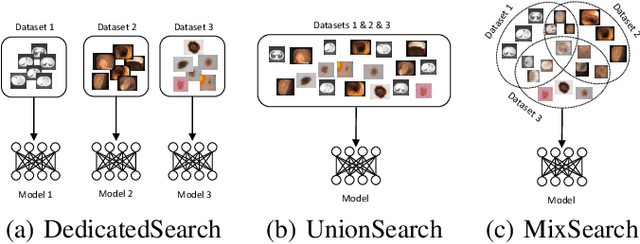 Figure 1 for MixSearch: Searching for Domain Generalized Medical Image Segmentation Architectures