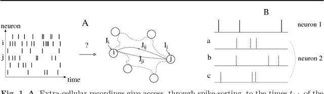Figure 1 for Fast Inference of Interactions in Assemblies of Stochastic Integrate-and-Fire Neurons from Spike Recordings