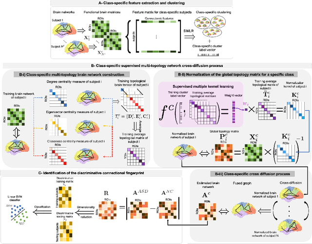 Figure 1 for Supervised Multi-topology Network Cross-diffusion for Population-driven Brain Network Atlas Estimation