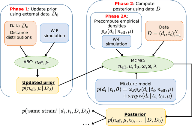 Figure 1 for A Bayesian model of acquisition and clearance of bacterial colonization