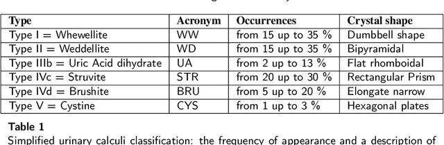 Figure 1 for On the in vivo recognition of kidney stones using machine learning