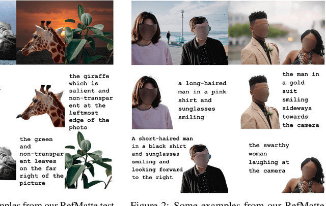 Figure 3 for Referring Image Matting