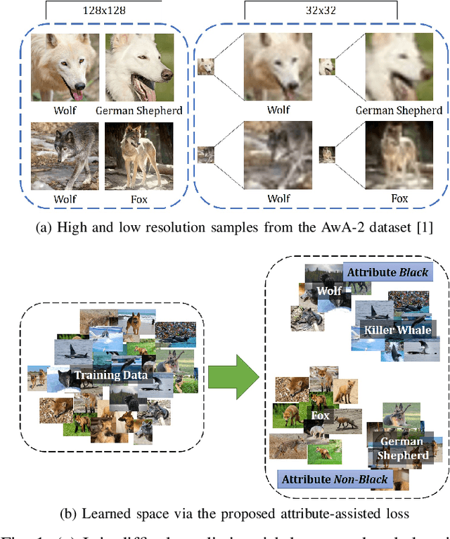 Figure 1 for Enhancing Fine-Grained Classification for Low Resolution Images